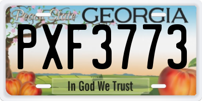 GA license plate PXF3773