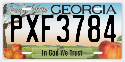 GA license plate PXF3784