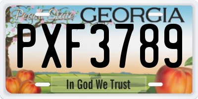 GA license plate PXF3789