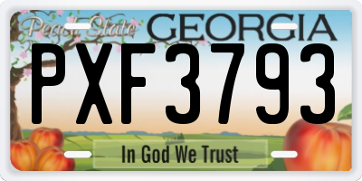 GA license plate PXF3793
