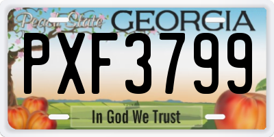 GA license plate PXF3799