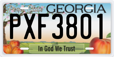 GA license plate PXF3801
