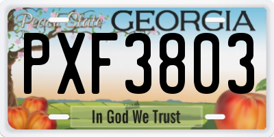 GA license plate PXF3803