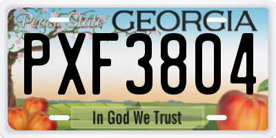 GA license plate PXF3804
