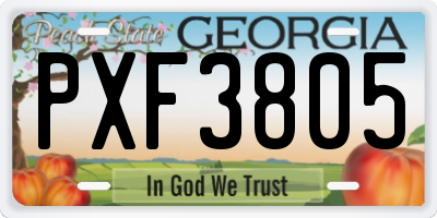 GA license plate PXF3805