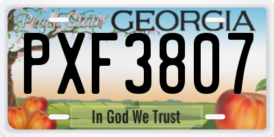 GA license plate PXF3807