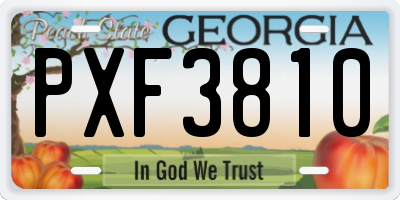 GA license plate PXF3810