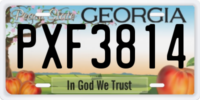 GA license plate PXF3814