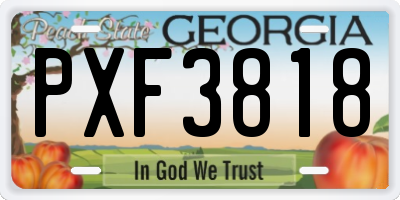 GA license plate PXF3818