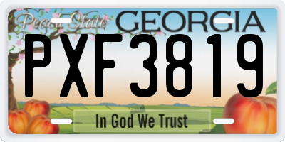 GA license plate PXF3819
