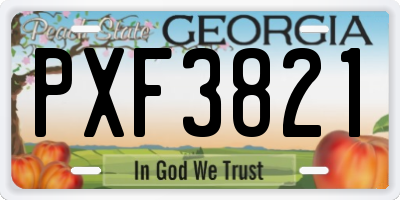 GA license plate PXF3821