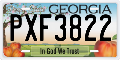 GA license plate PXF3822