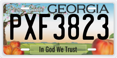 GA license plate PXF3823