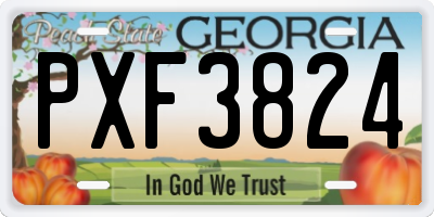 GA license plate PXF3824