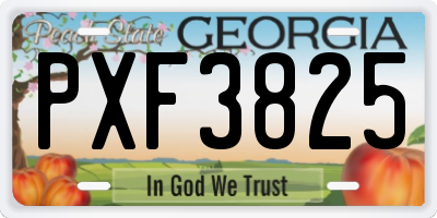 GA license plate PXF3825