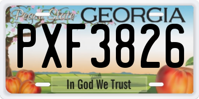 GA license plate PXF3826
