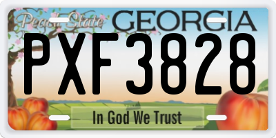 GA license plate PXF3828