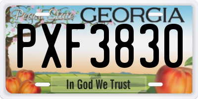 GA license plate PXF3830