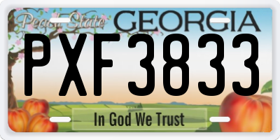 GA license plate PXF3833