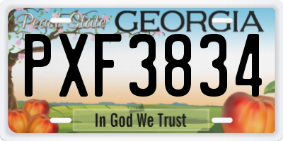 GA license plate PXF3834