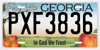 GA license plate PXF3836