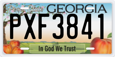 GA license plate PXF3841