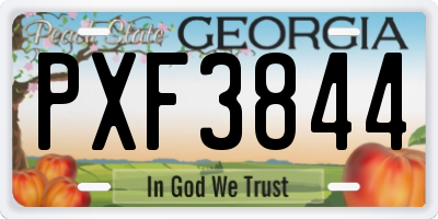 GA license plate PXF3844