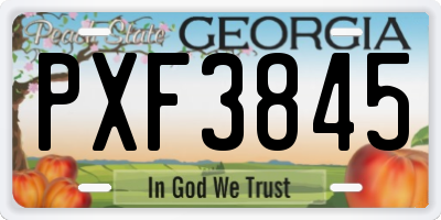GA license plate PXF3845