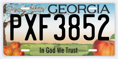 GA license plate PXF3852