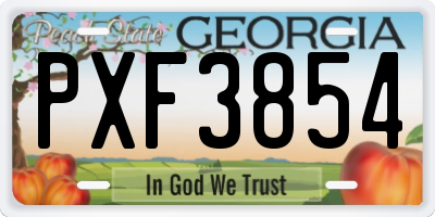 GA license plate PXF3854