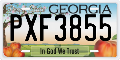 GA license plate PXF3855