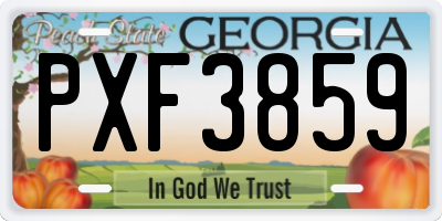 GA license plate PXF3859