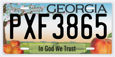 GA license plate PXF3865