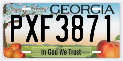 GA license plate PXF3871