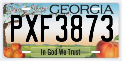 GA license plate PXF3873