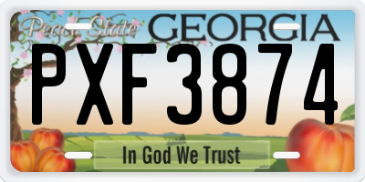 GA license plate PXF3874