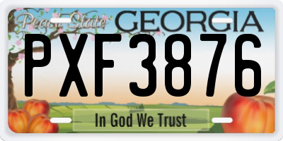 GA license plate PXF3876