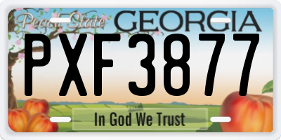 GA license plate PXF3877