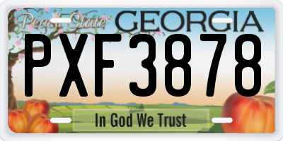 GA license plate PXF3878