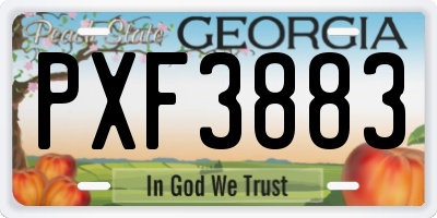 GA license plate PXF3883