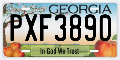 GA license plate PXF3890