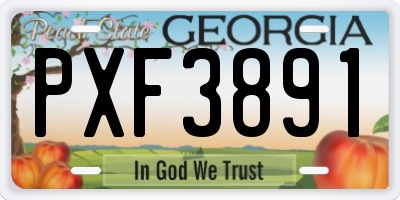GA license plate PXF3891