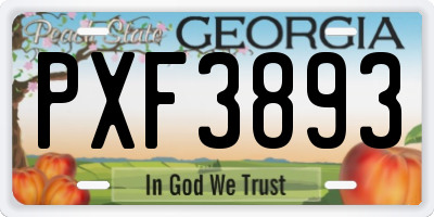 GA license plate PXF3893