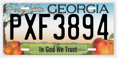 GA license plate PXF3894