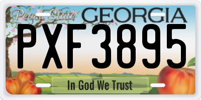 GA license plate PXF3895