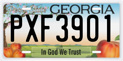 GA license plate PXF3901