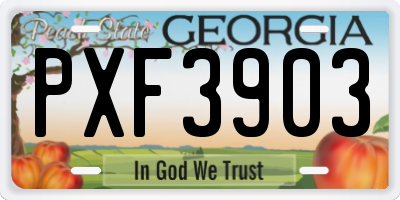 GA license plate PXF3903