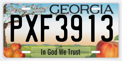 GA license plate PXF3913