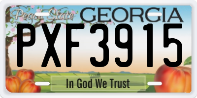 GA license plate PXF3915