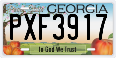 GA license plate PXF3917